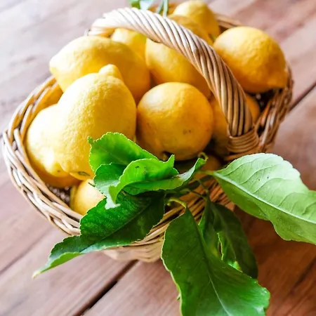 Lisbon Country Oeiras